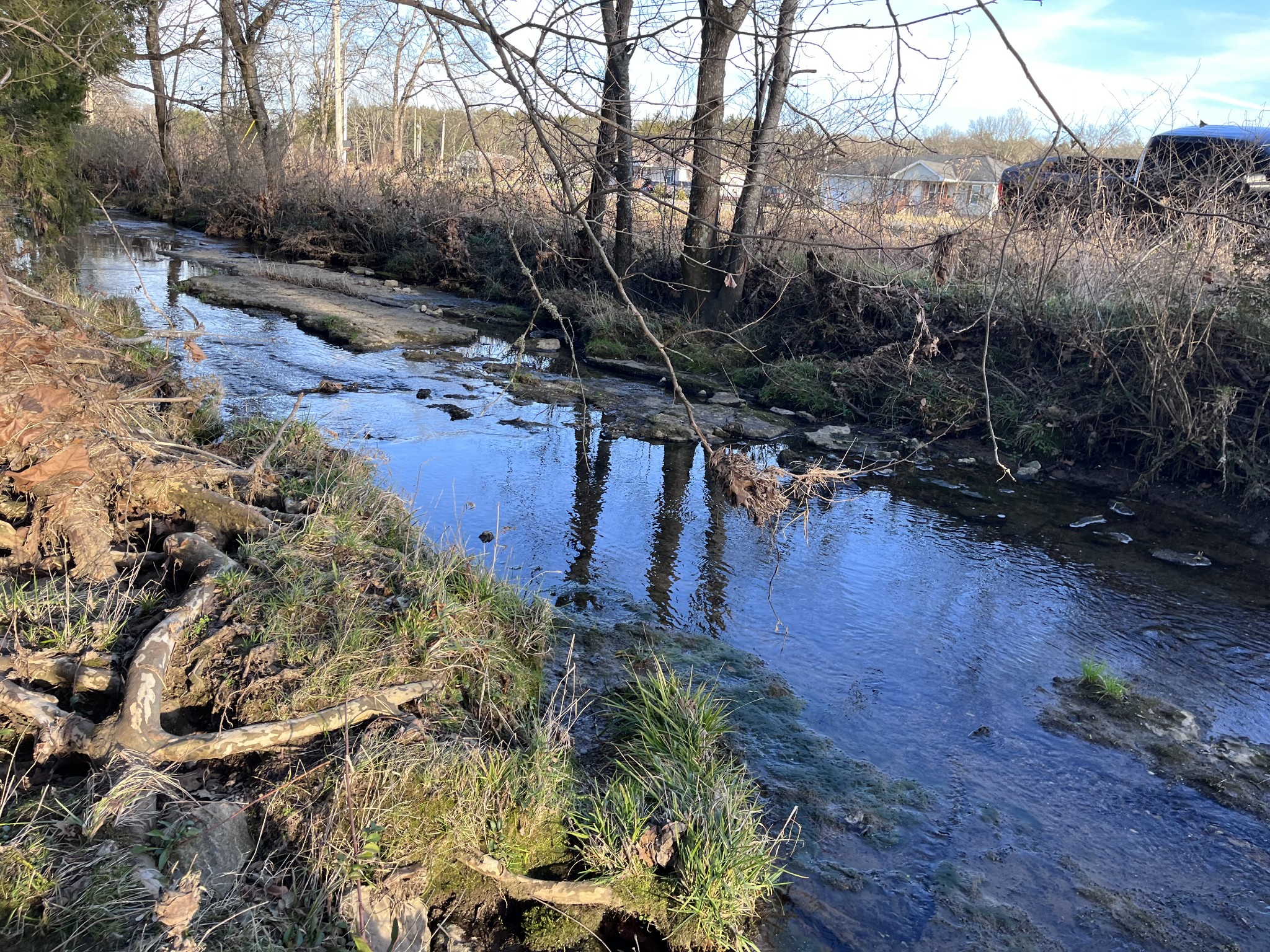 a view of outdoor space and yard