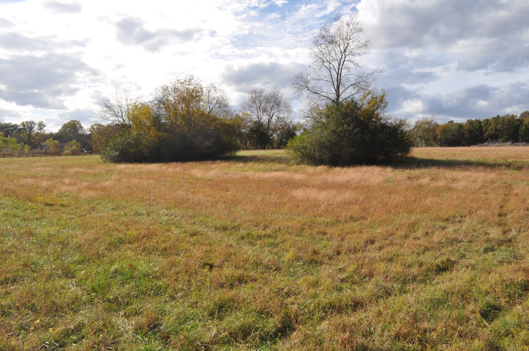 0 Goose Creek Road Alexandria, TN 37012 - Photo 3 of 4