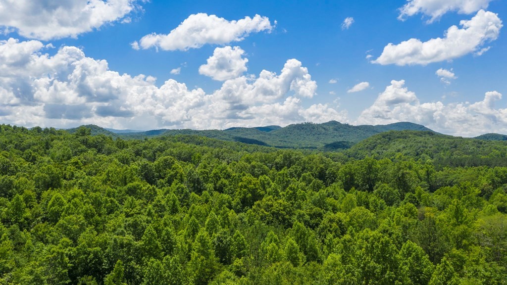 142 J Wilson Road Old Fort, TN 37362 - Photo 48 of 51