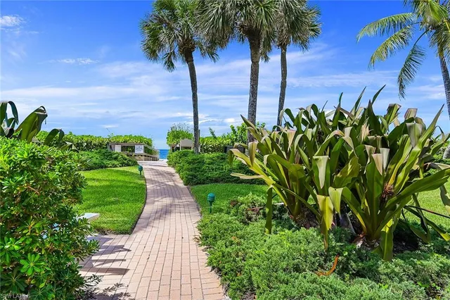 a view of a garden with a palm tree