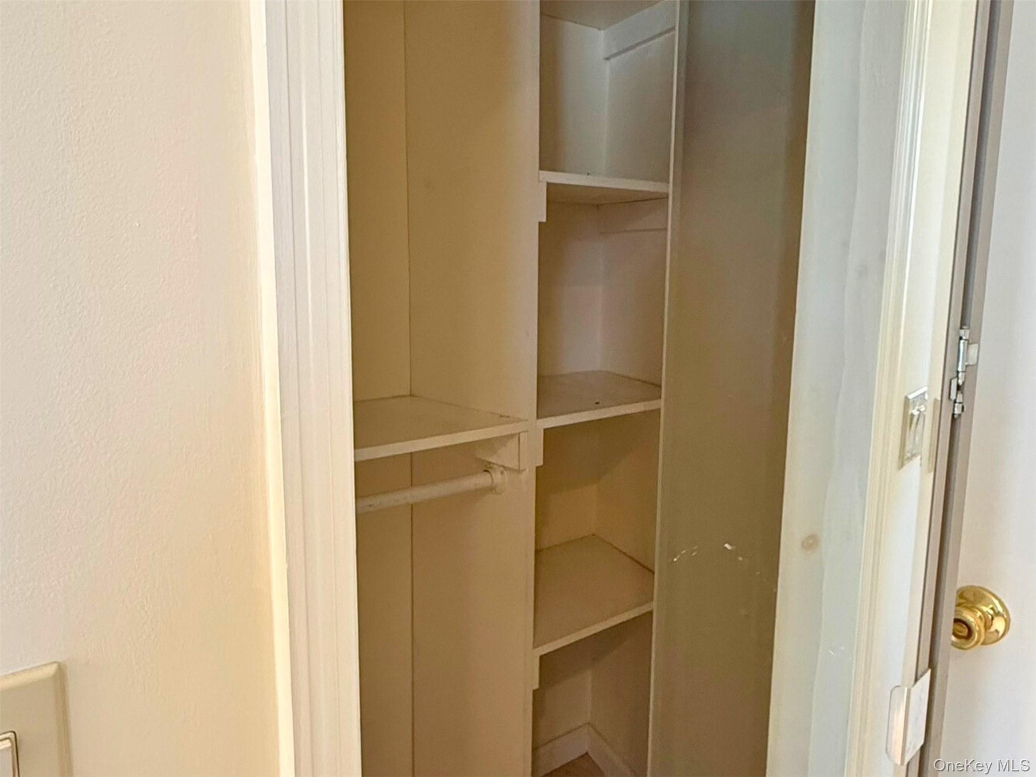 52-05 35th Street, Unit 2 Queens, NY 11101 - Photo 21 of 32 a close view of closet
