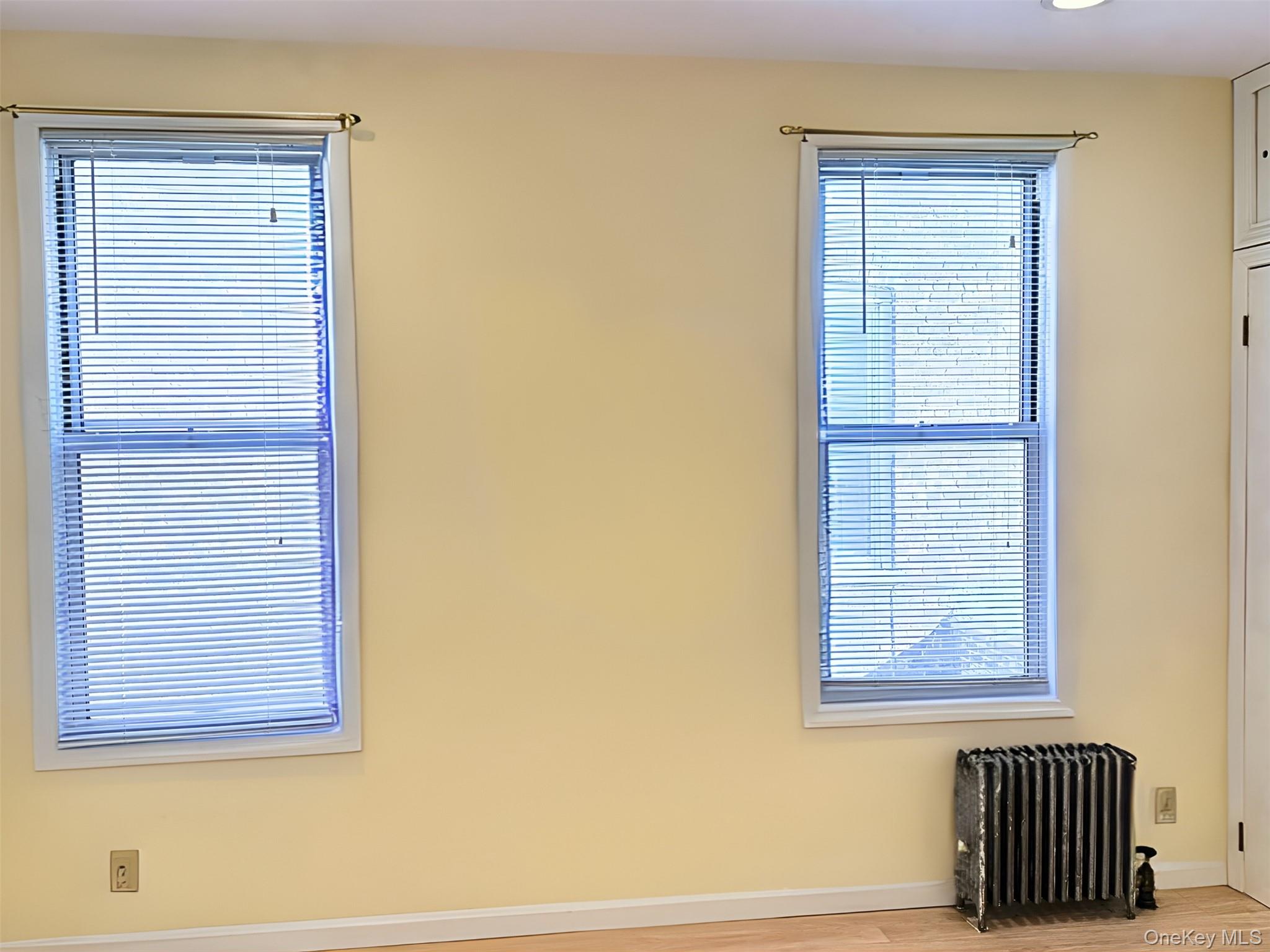 52-05 35th Street, Unit 2 Queens, NY 11101 - Photo 25 of 32 Spare room featuring radiator heating unit, light wood-style floors, and plenty of natural light