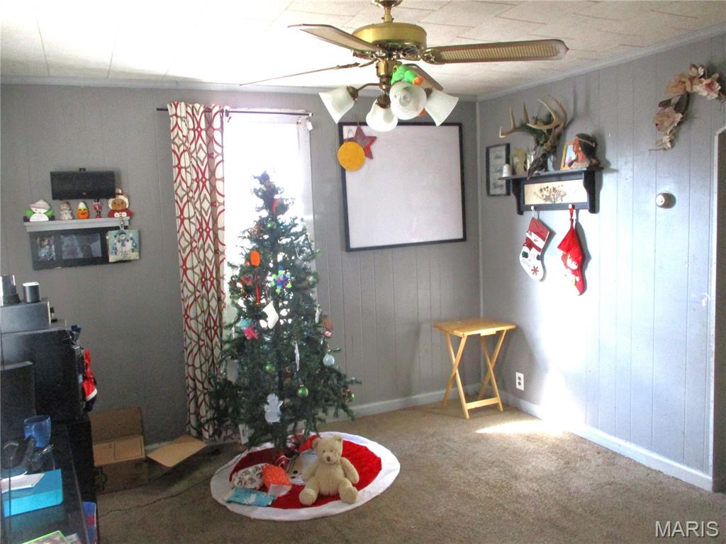 215 Chartrand Street Prairie du Rocher, IL 62277 - Photo 11 of 20