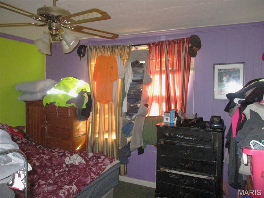 215 Chartrand Street Prairie du Rocher, IL 62277 - Photo 14 of 20