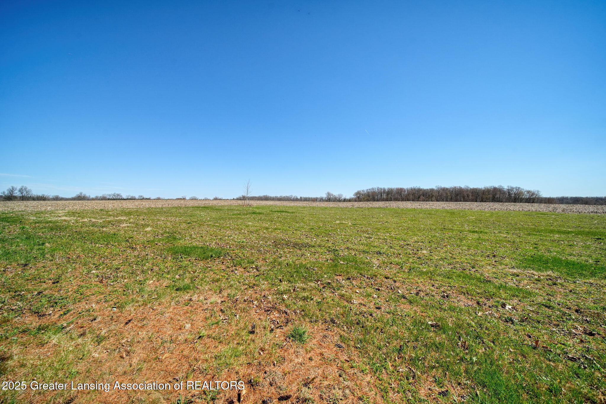 6070 Zimmer Road Williamston, MI 48895 - Photo 35 of 47 44-web-or-mls-DSC01025_HDR
