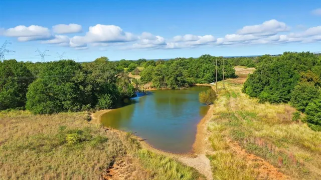 a view of a yard with an tree