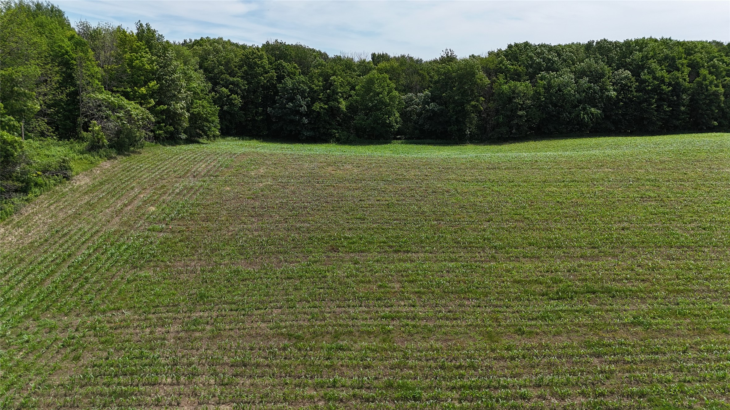 Tbd 230th Street Baldwin, WI 54002 - Photo 43 of 53