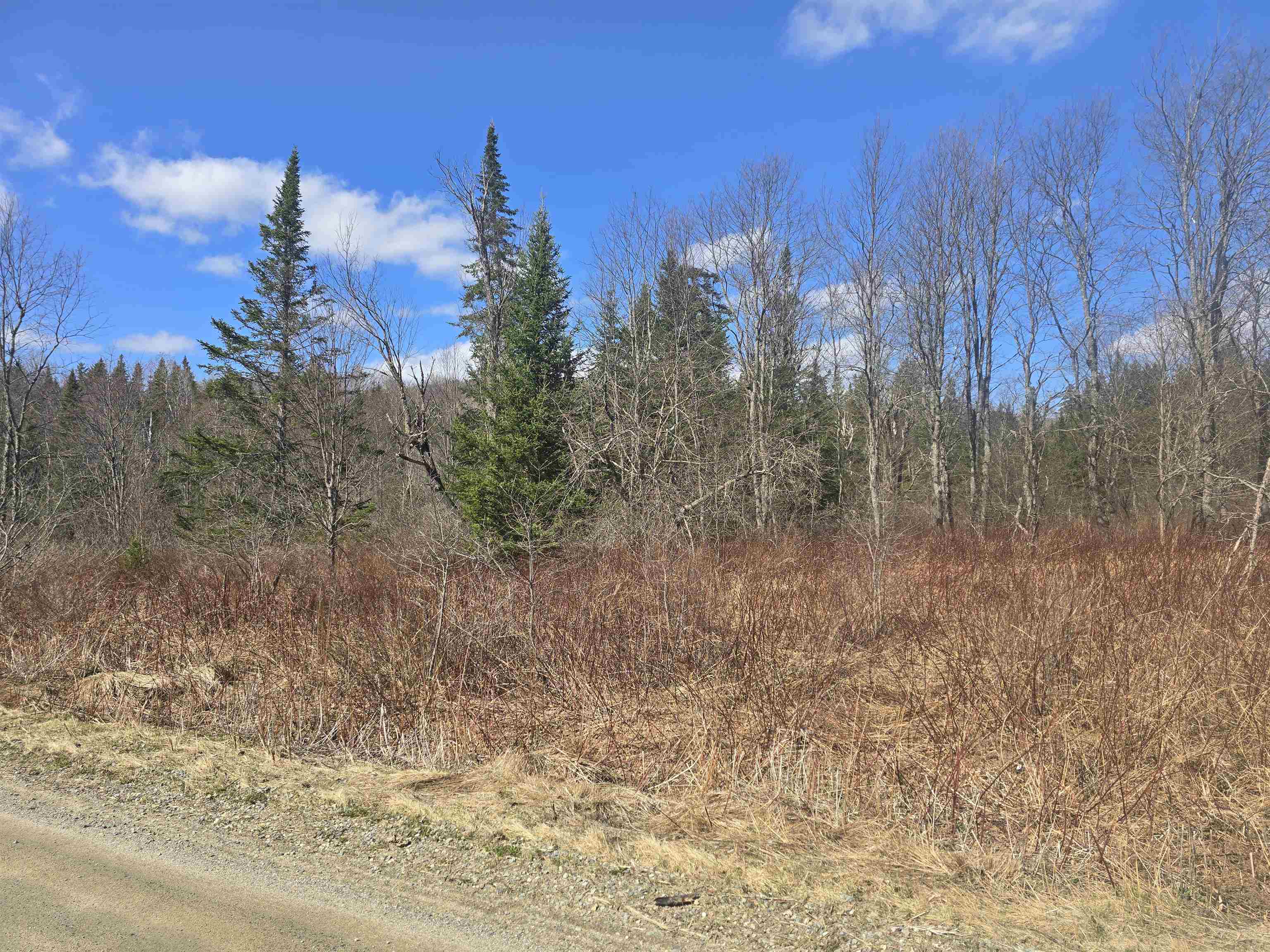 0 Valley Road Jefferson, NH 03583 - Photo 3 of 12 Gallery Image 3