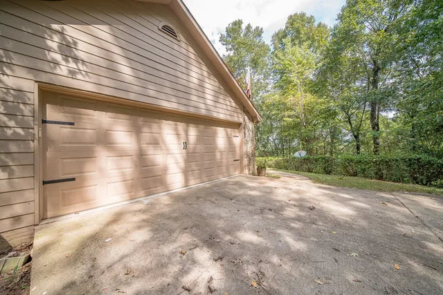 a view of backyard and tree