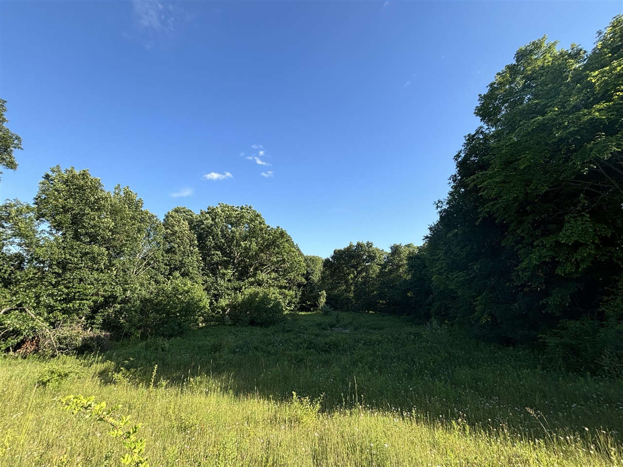 38.14 Northeast A Ne Hayes Road Comstock Park, MI 49321 - Photo 12 of 38
