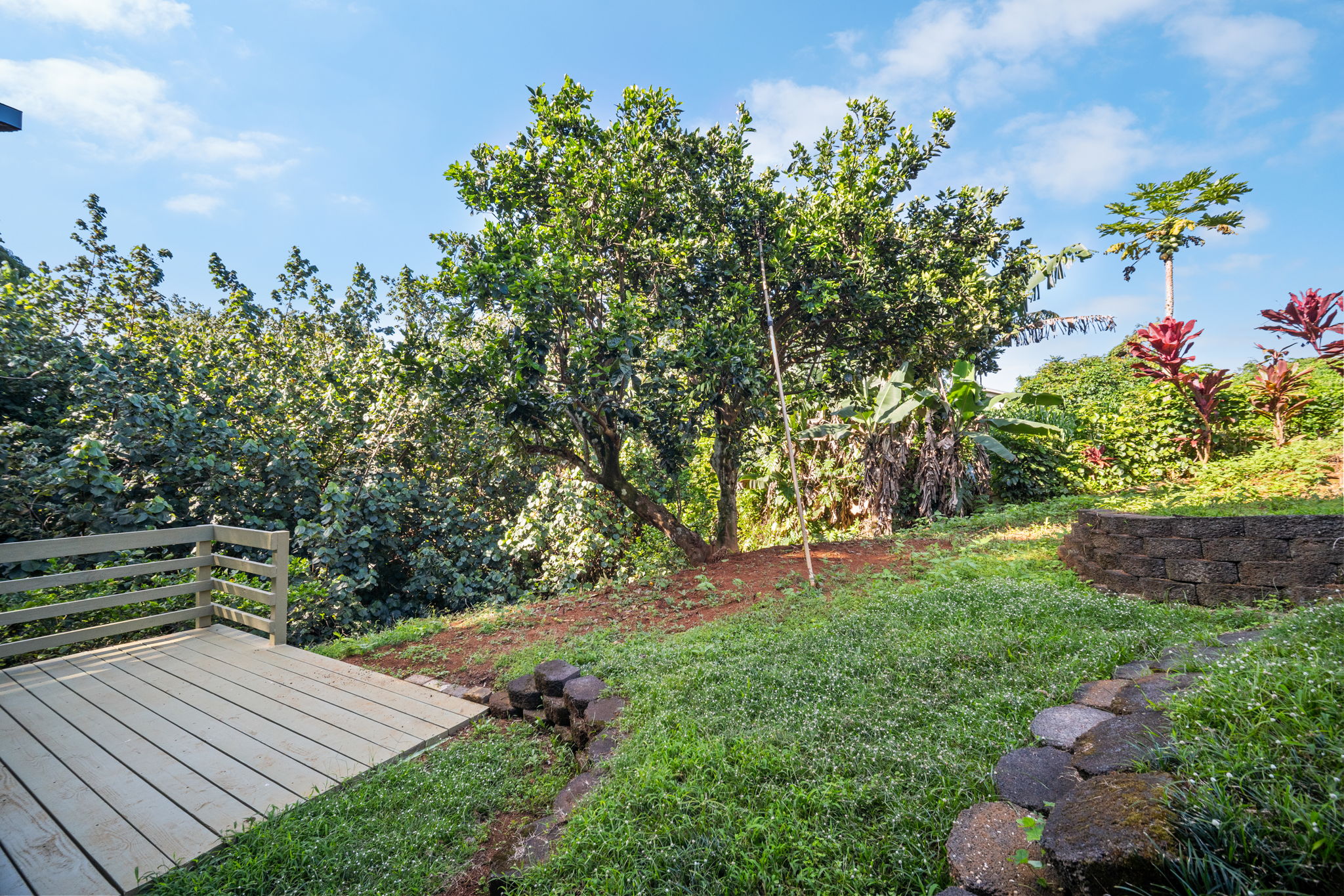 6050 C Kapahi Road Kapaa, HI 96746 - Photo 16 of 30 a view of a yard with plants and large trees