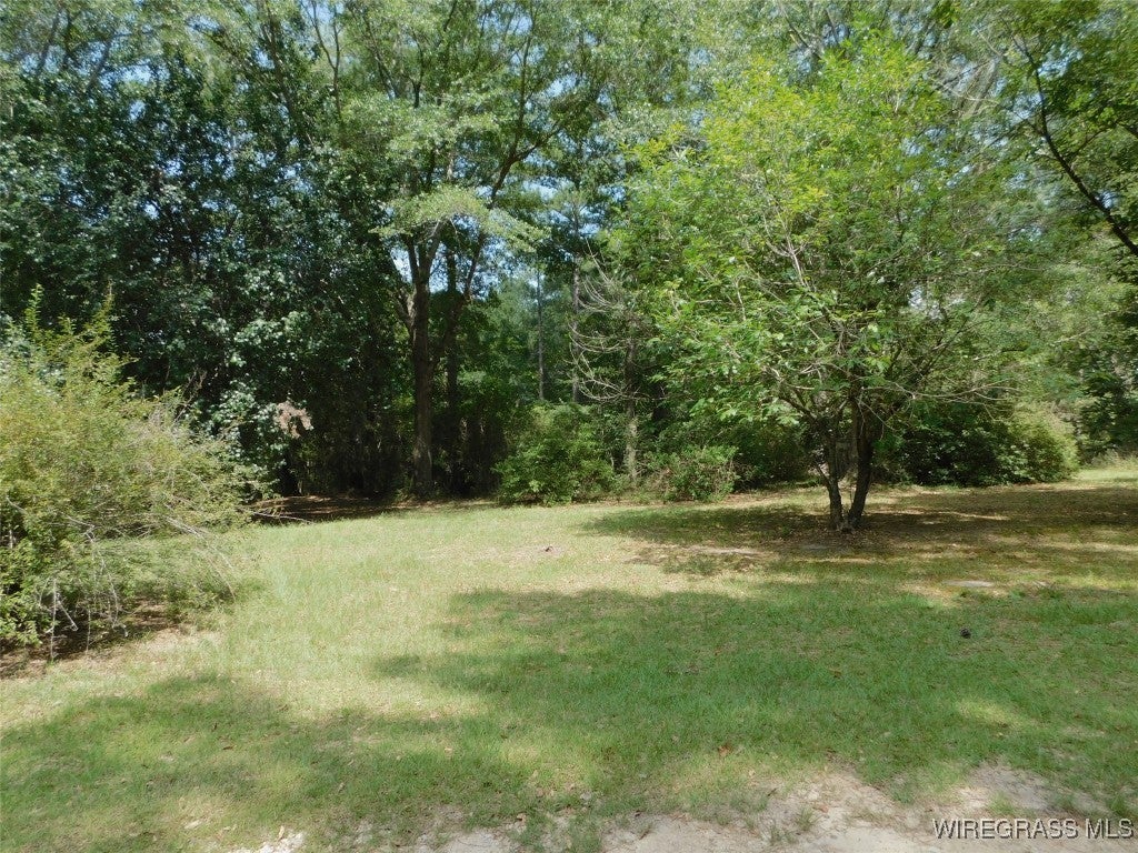 1795 Lindsey Bridge Road Andalusia, AL 36420 - Photo 5 of 60 Gallery Image 5