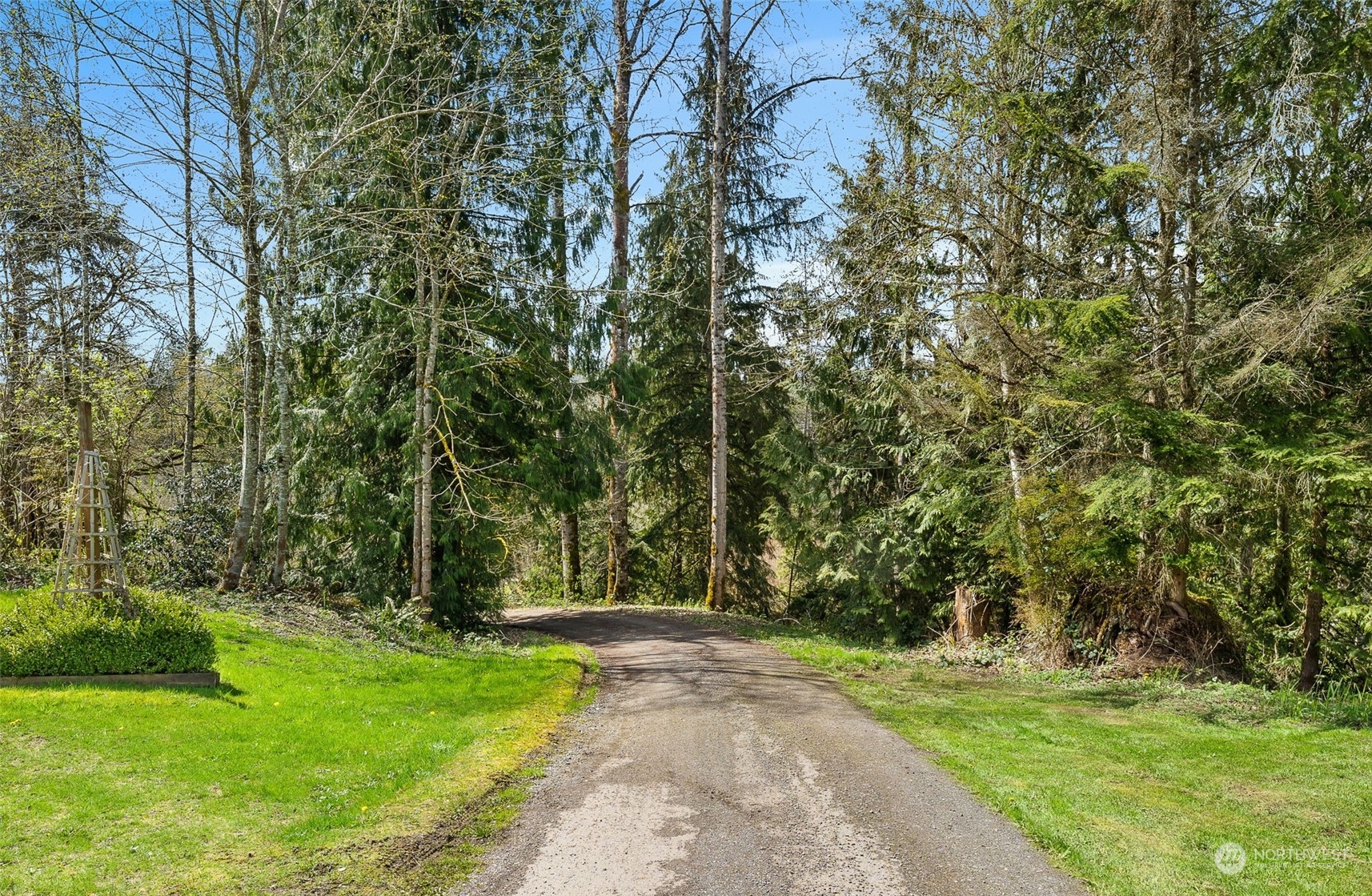 30216 Thomas Road Southeast Kent, WA 98042 - Photo 35 of 37 a view of a backyard with large trees