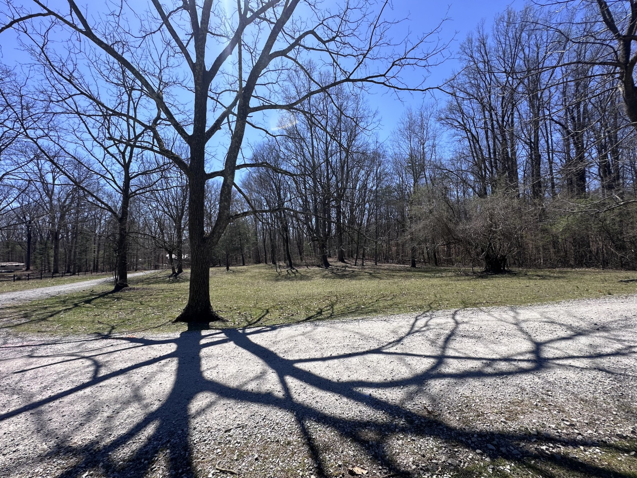 0 Ingram Farm Road Tracy City, TN 37387 - Photo 2 of 14 Gallery Image 2