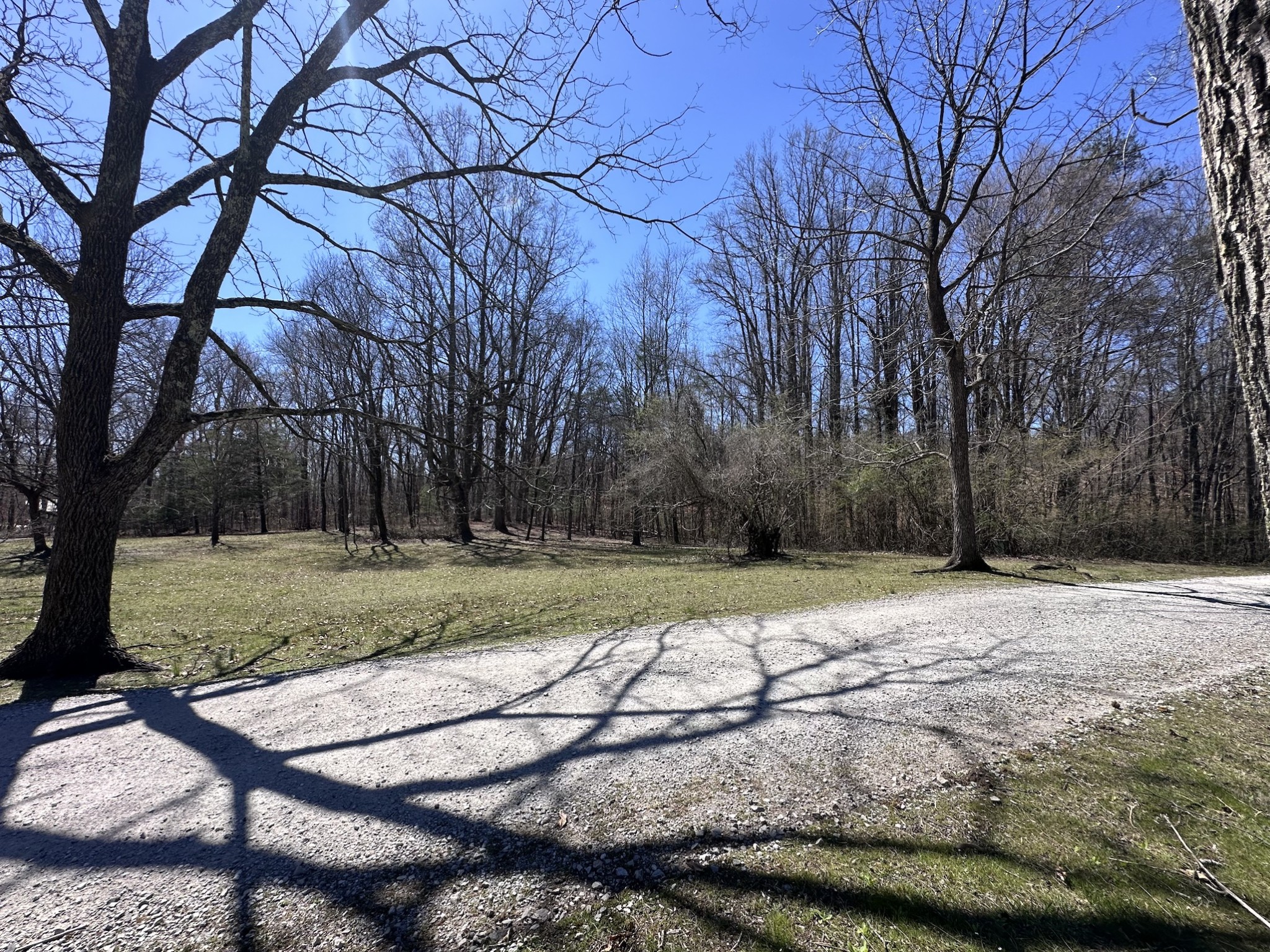 0 Ingram Farm Road Tracy City, TN 37387 - Photo 3 of 14 Gallery Image 3