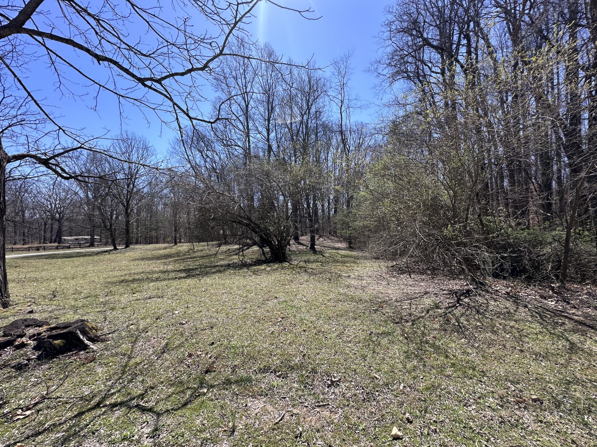0 Ingram Farm Road Tracy City, TN 37387 - Photo 4 of 14 Gallery Image 4