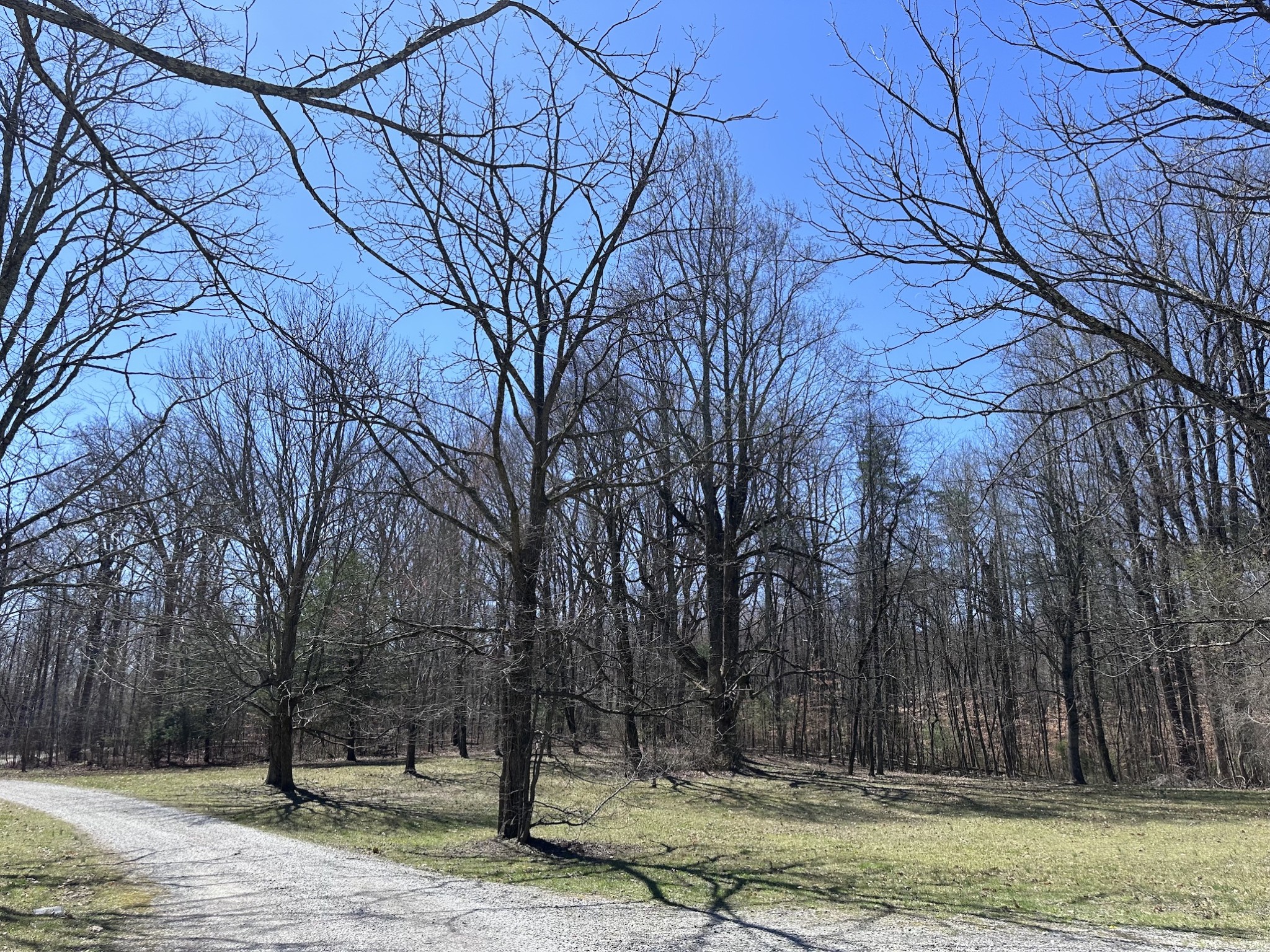 0 Ingram Farm Road Tracy City, TN 37387 - Photo 5 of 14 Gallery Image 5