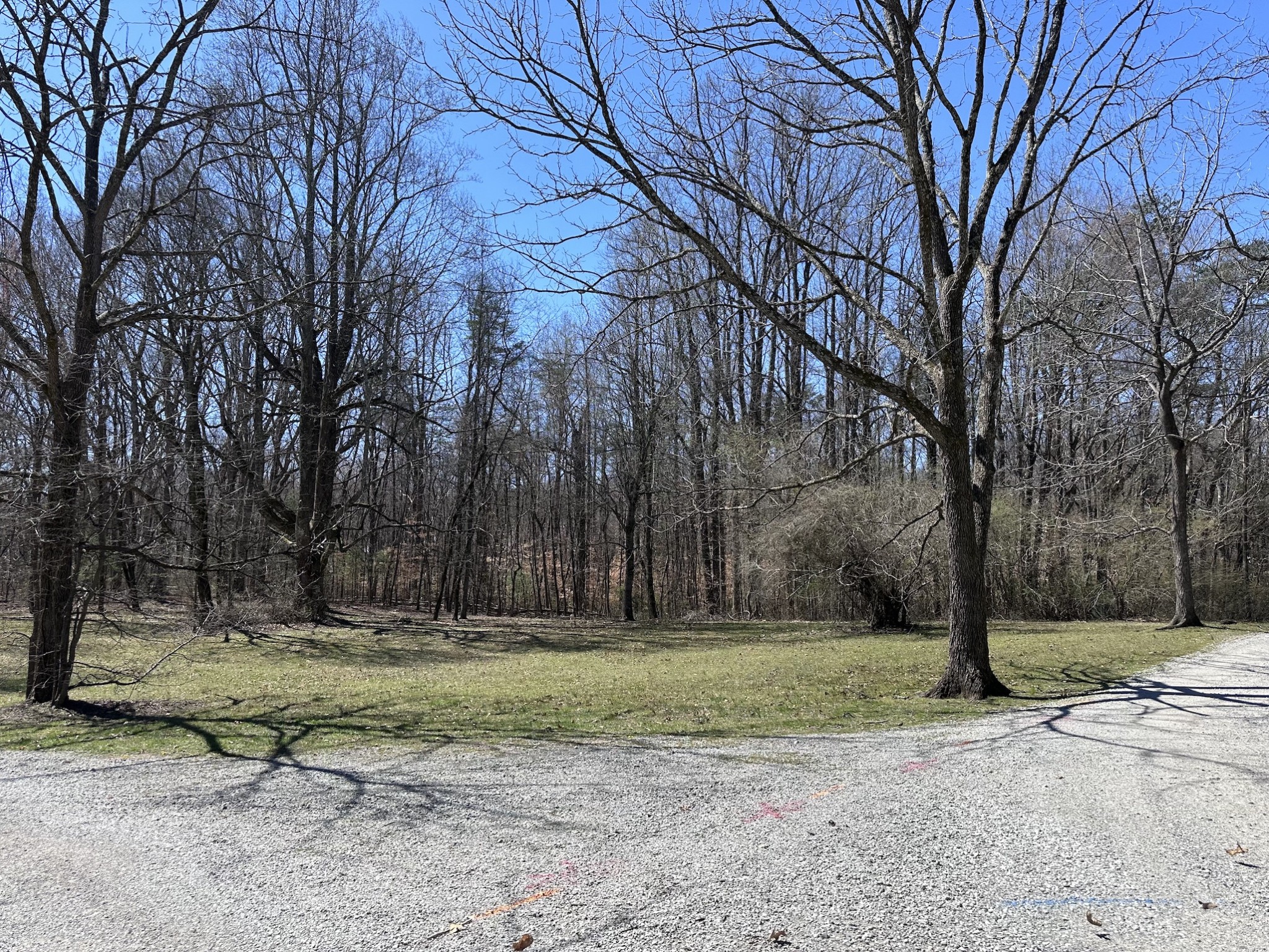 0 Ingram Farm Road Tracy City, TN 37387 - Photo 6 of 14 Gallery Image 6