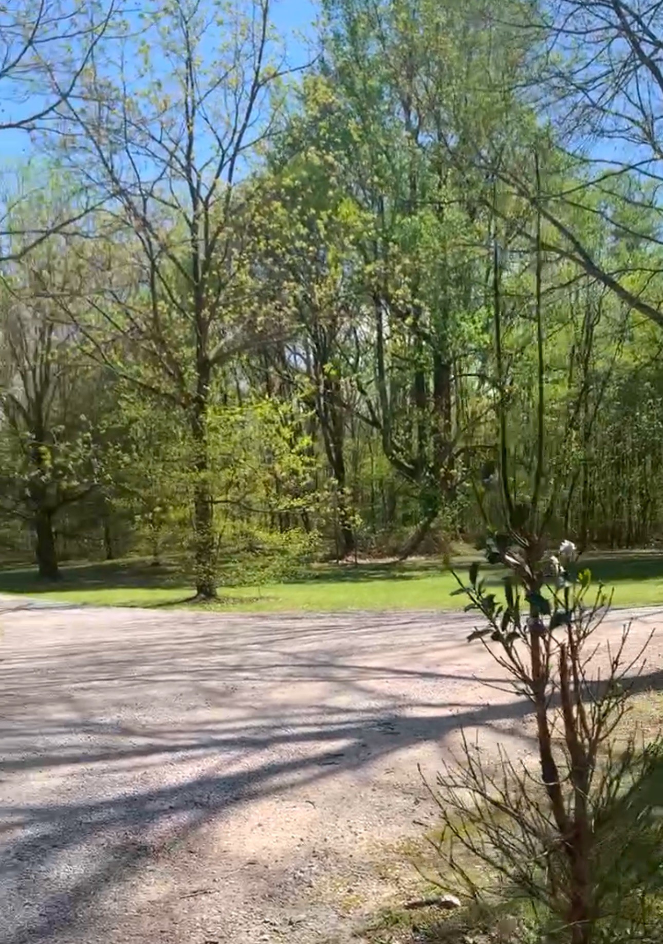 0 Ingram Farm Road Tracy City, TN 37387 - Photo 10 of 14 Gallery Image 10
