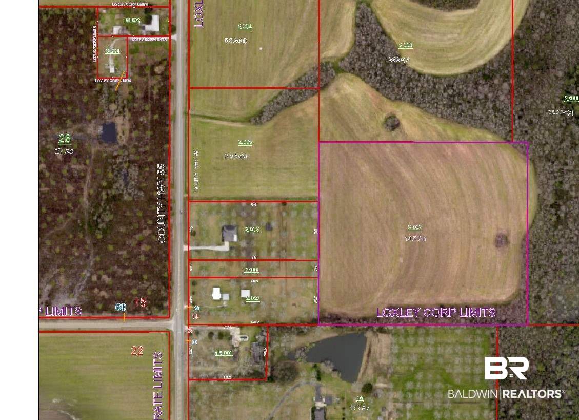 0 County Road 55 Loxley, AL 36551 - Photo 4 of 10