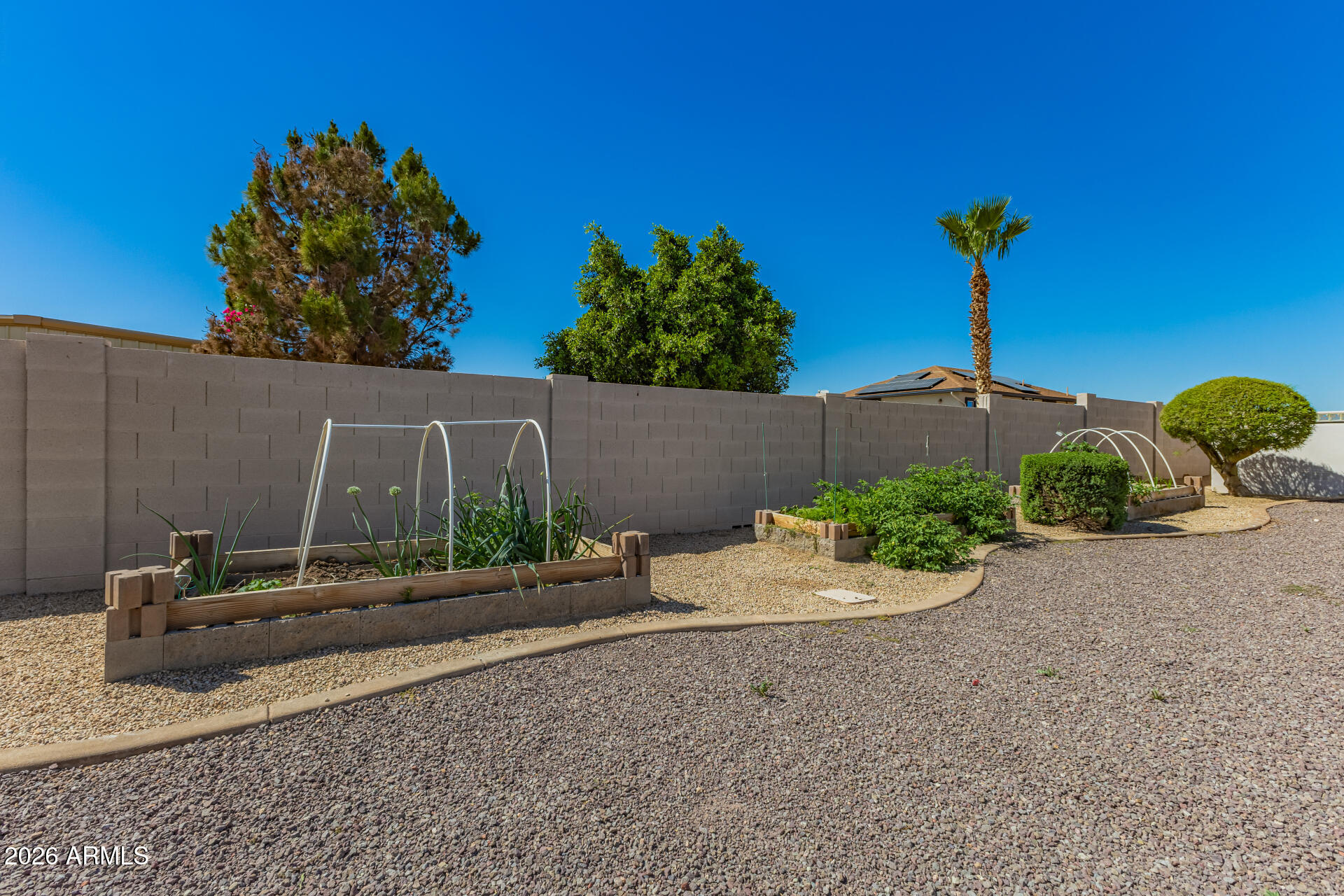 16037 West Wade Lane Goodyear, AZ 85338 - Photo 61 of 67 a backyard of a house with lots of green space