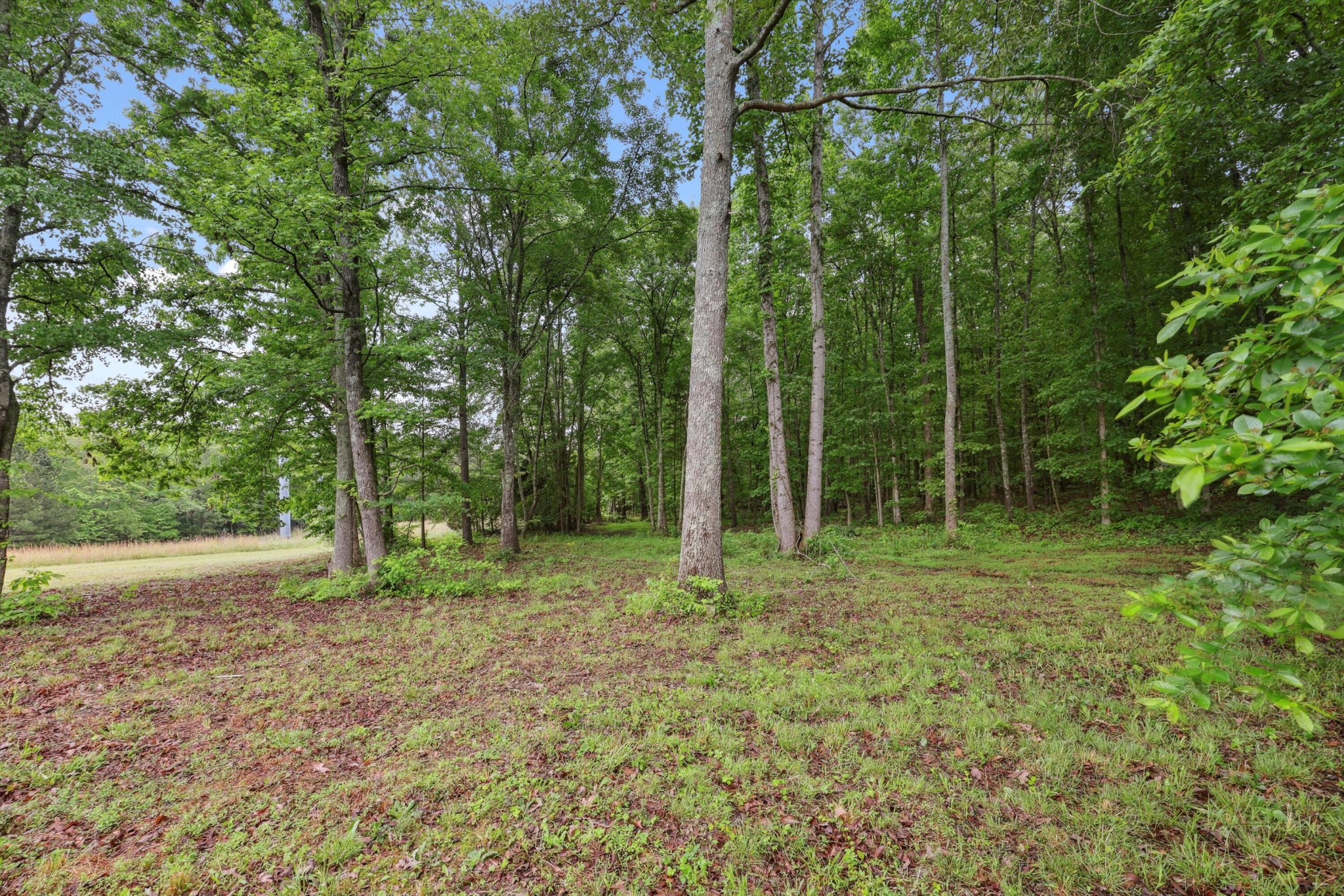 1001 West Reed Road LaFayette, GA 30728 - Photo 18 of 21 Gallery Image 18