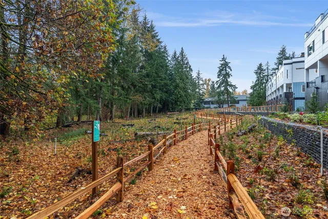 a view of a yard with plants