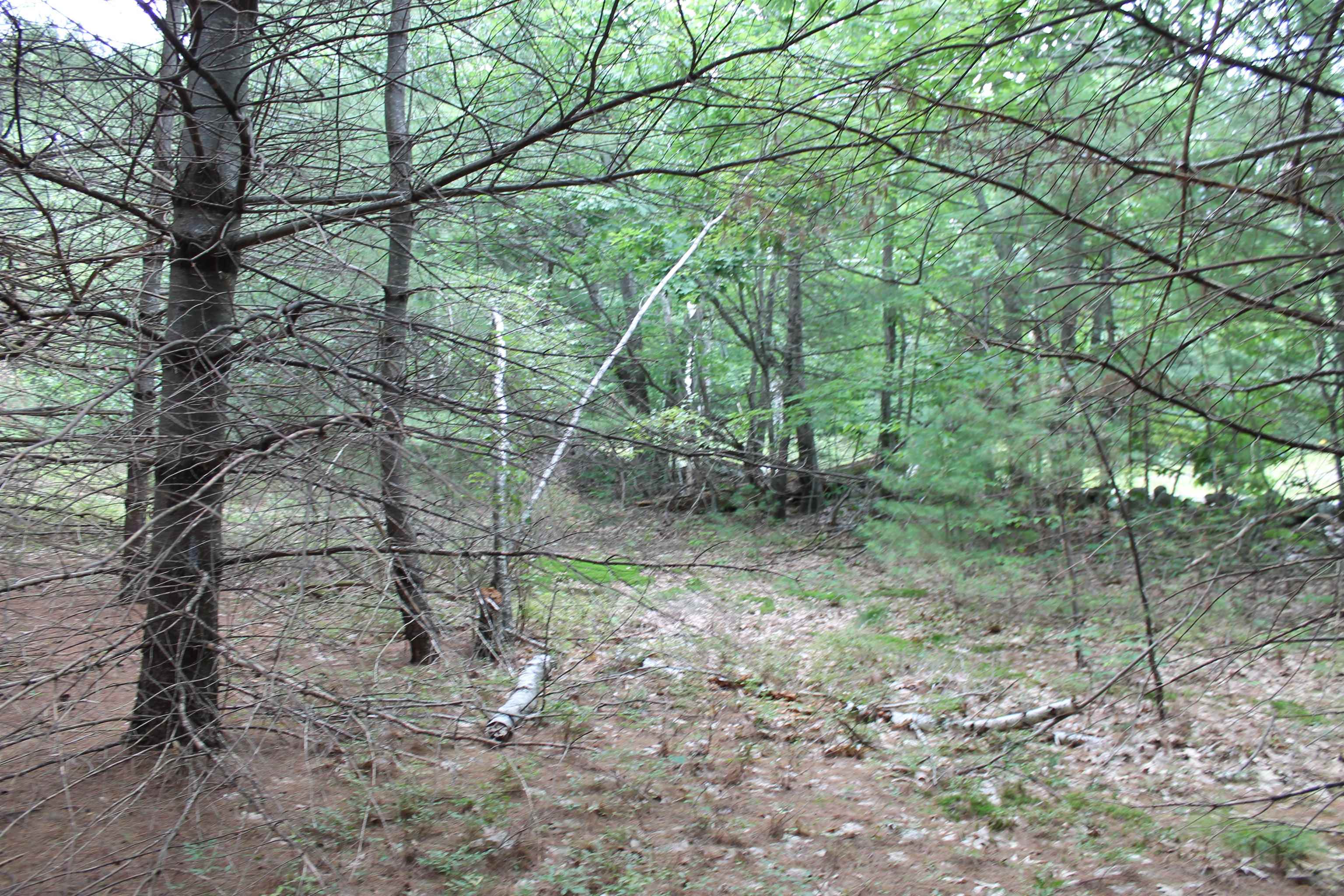 0 Governors Road Milton, NH 03851 - Photo 8 of 8