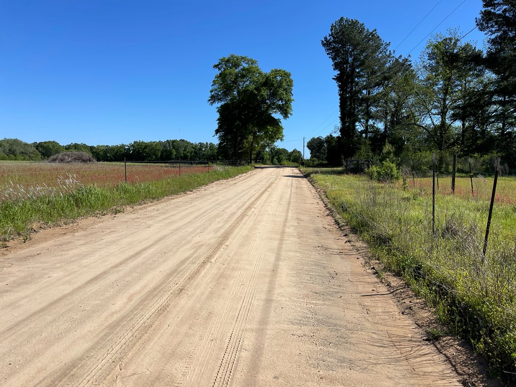 0 C Cora Powell Road Samson, AL 36477 - Photo 5 of 5
