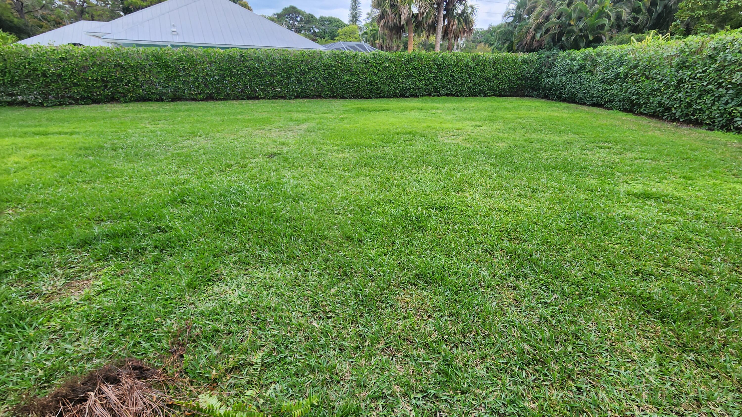 6118 Creekside Trail Jupiter, FL 33458 - Photo 10 of 17 E Yard