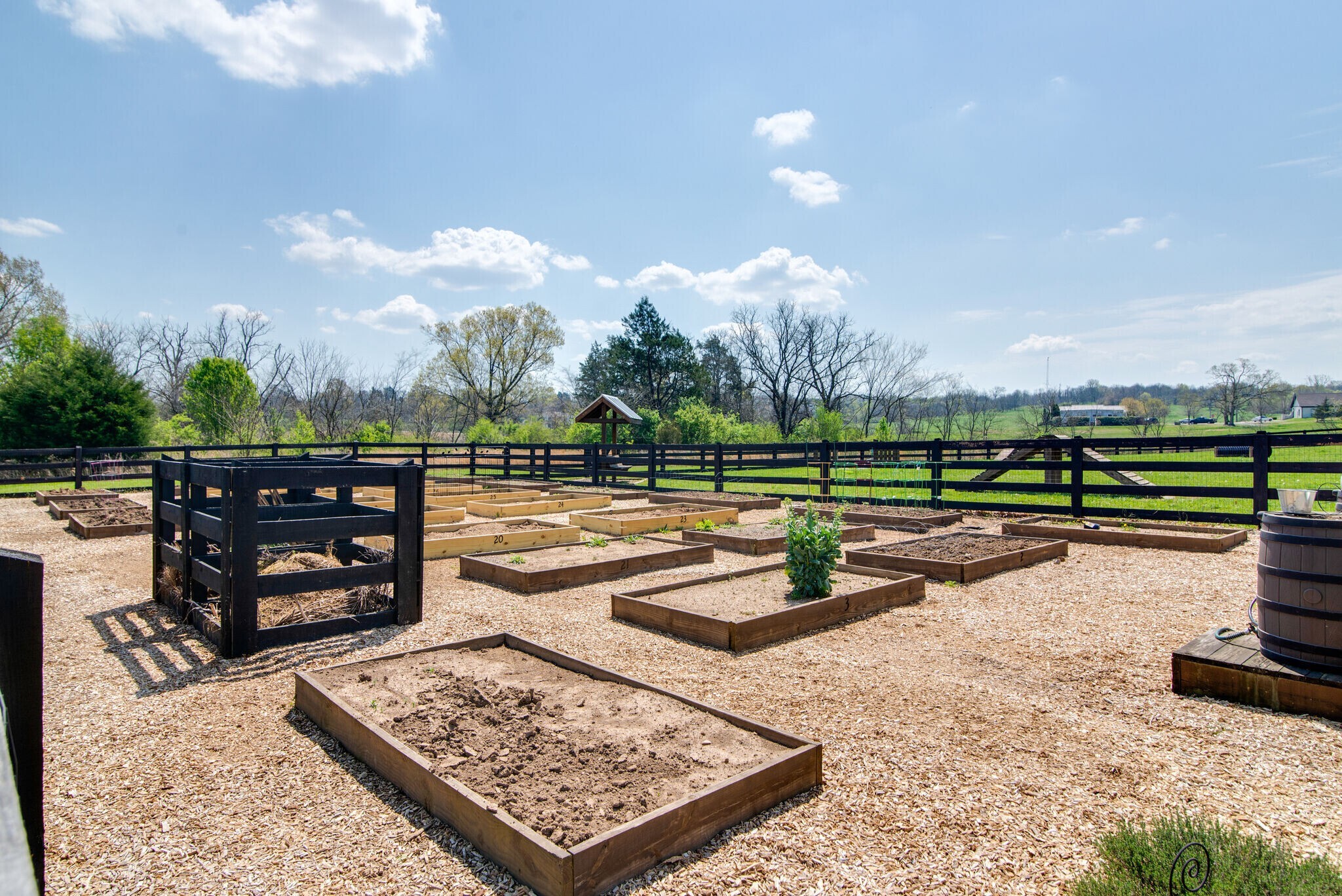 3106 Patcham Drive Nolensville, TN 37135 - Photo 26 of 27 a view of a park