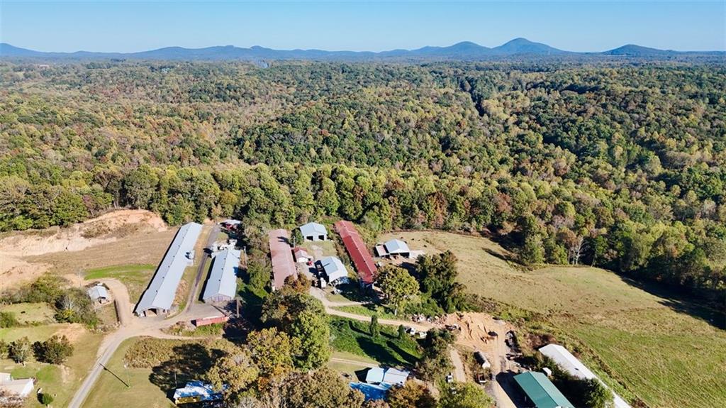 0 Porter Springs Road Dahlonega, GA 30533 - Photo 20 of 31