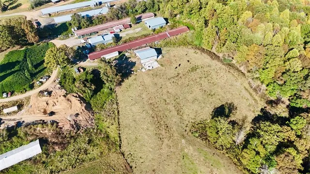 a view of a tree with an outdoor space