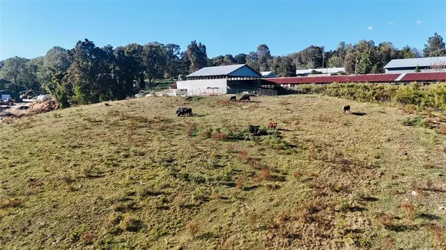 a wooden bench sitting in the middle of a field
