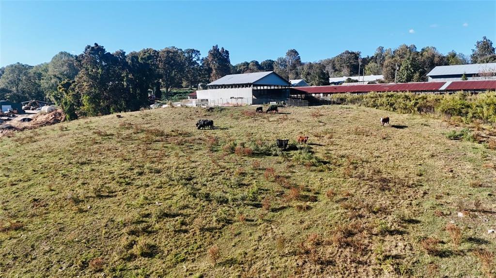 0 Porter Springs Road Dahlonega, GA 30533 - Photo 8 of 31 a wooden bench sitting in the middle of a field