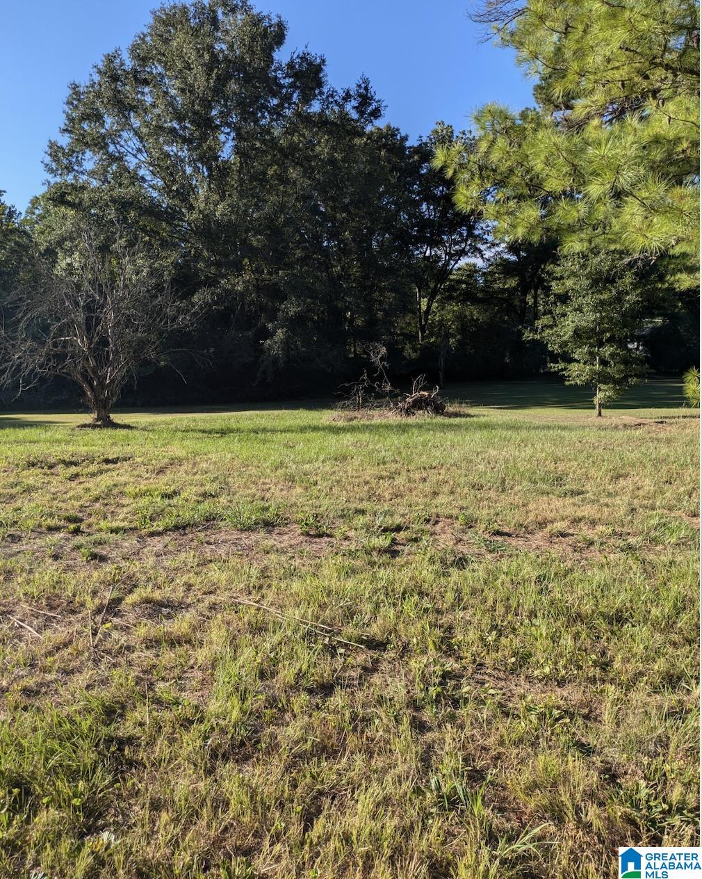944 Willman Road Talladega, AL 35160 - Photo 11 of 11