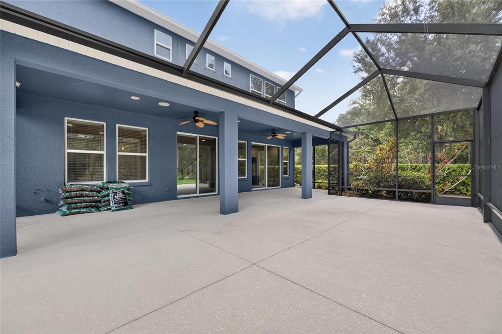 3506 Wicket Field Road Lutz, FL 33548 - Photo 5 of 31