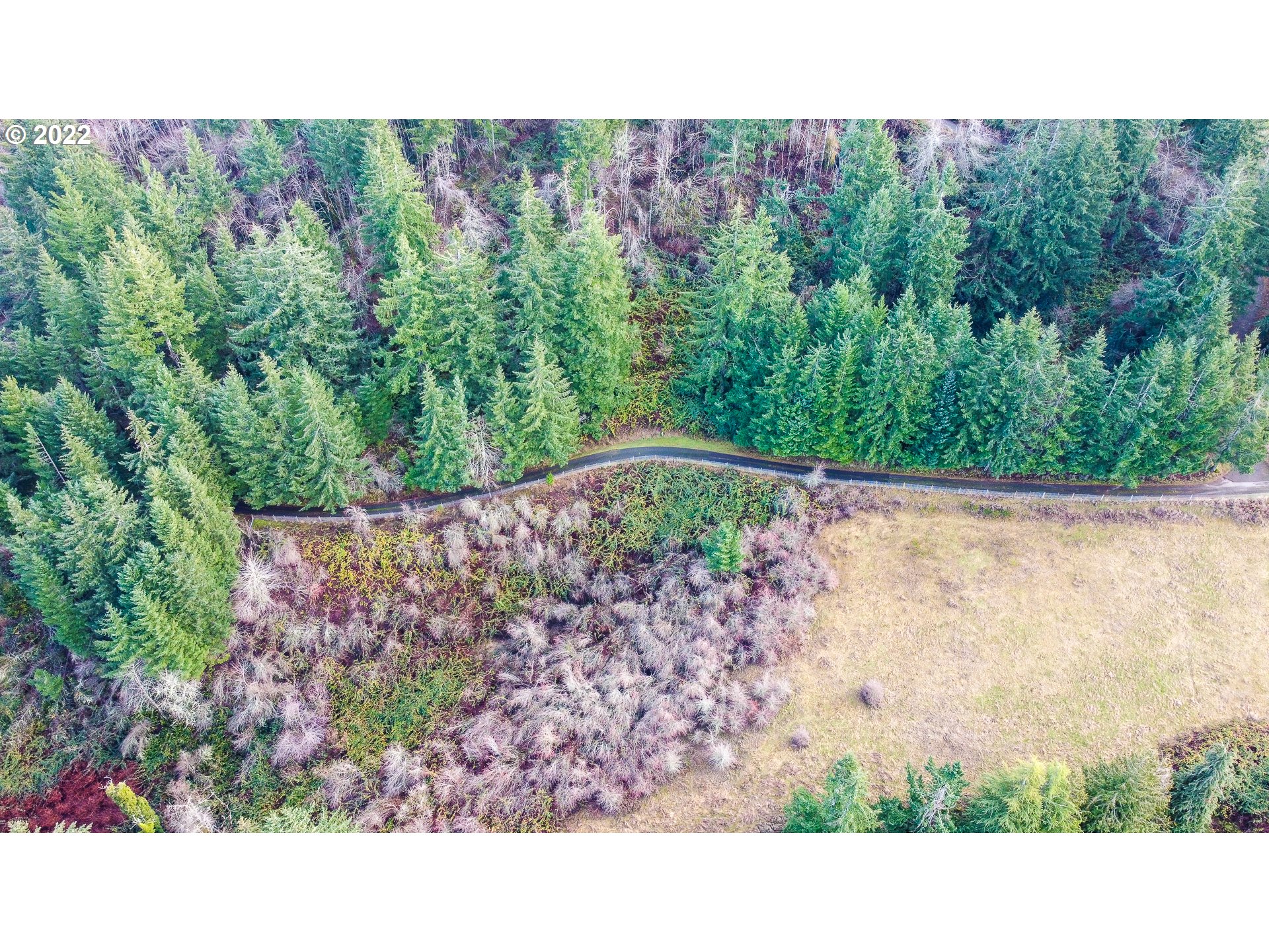 16266 Forsythe Road Oregon City, OR 97045 - Photo 6 of 8