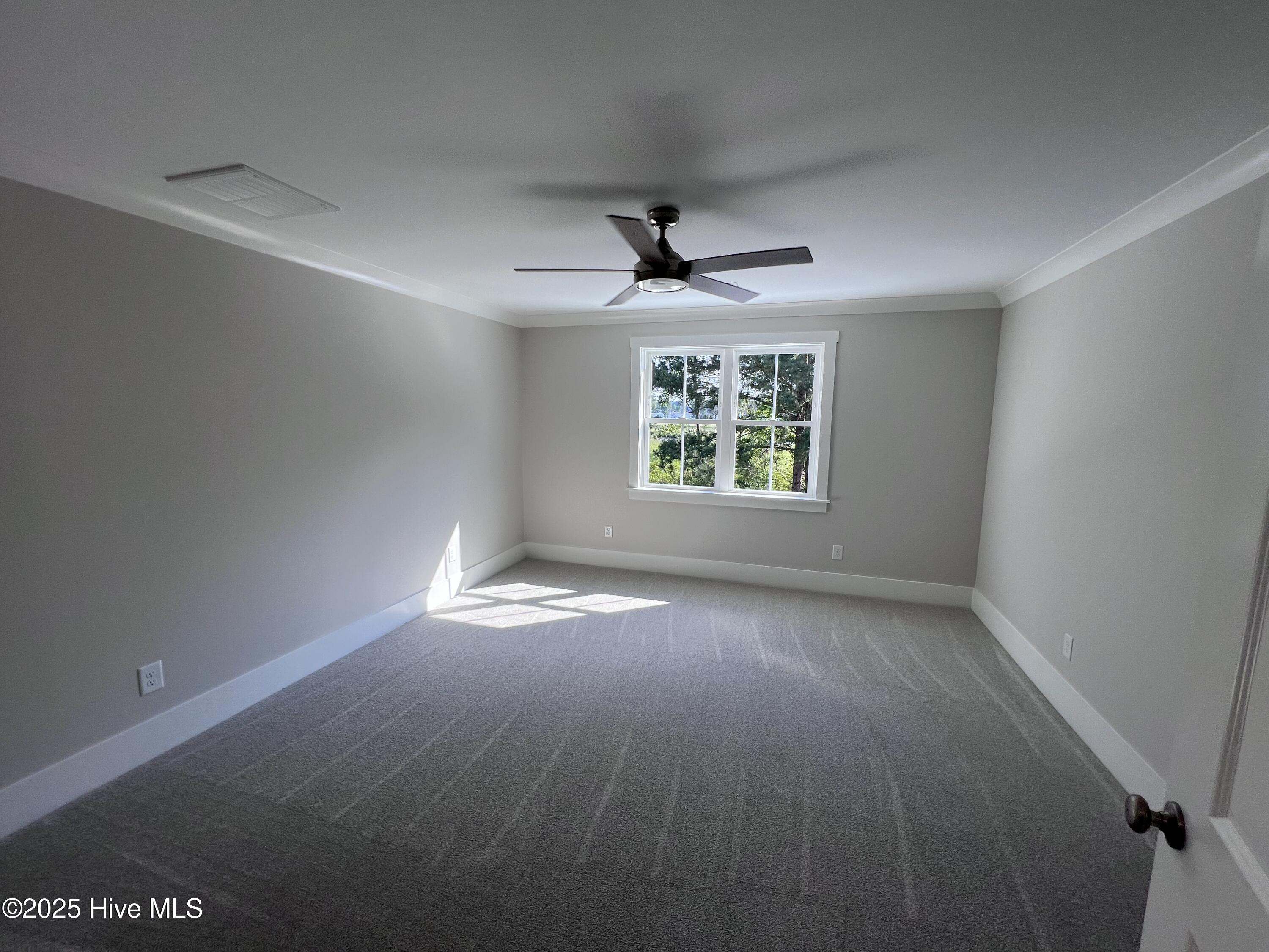 3216 Whichards Beach Road Chocowinity, NC 27817 - Photo 24 of 32 image4 (27)