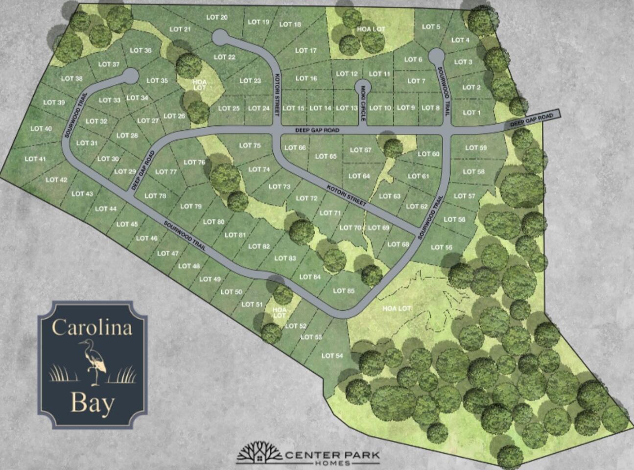 6065 Sourwood Trail Ridgeville, SC 29472 - Photo 6 of 25 Carolina Bay Site Map (Phase 3)