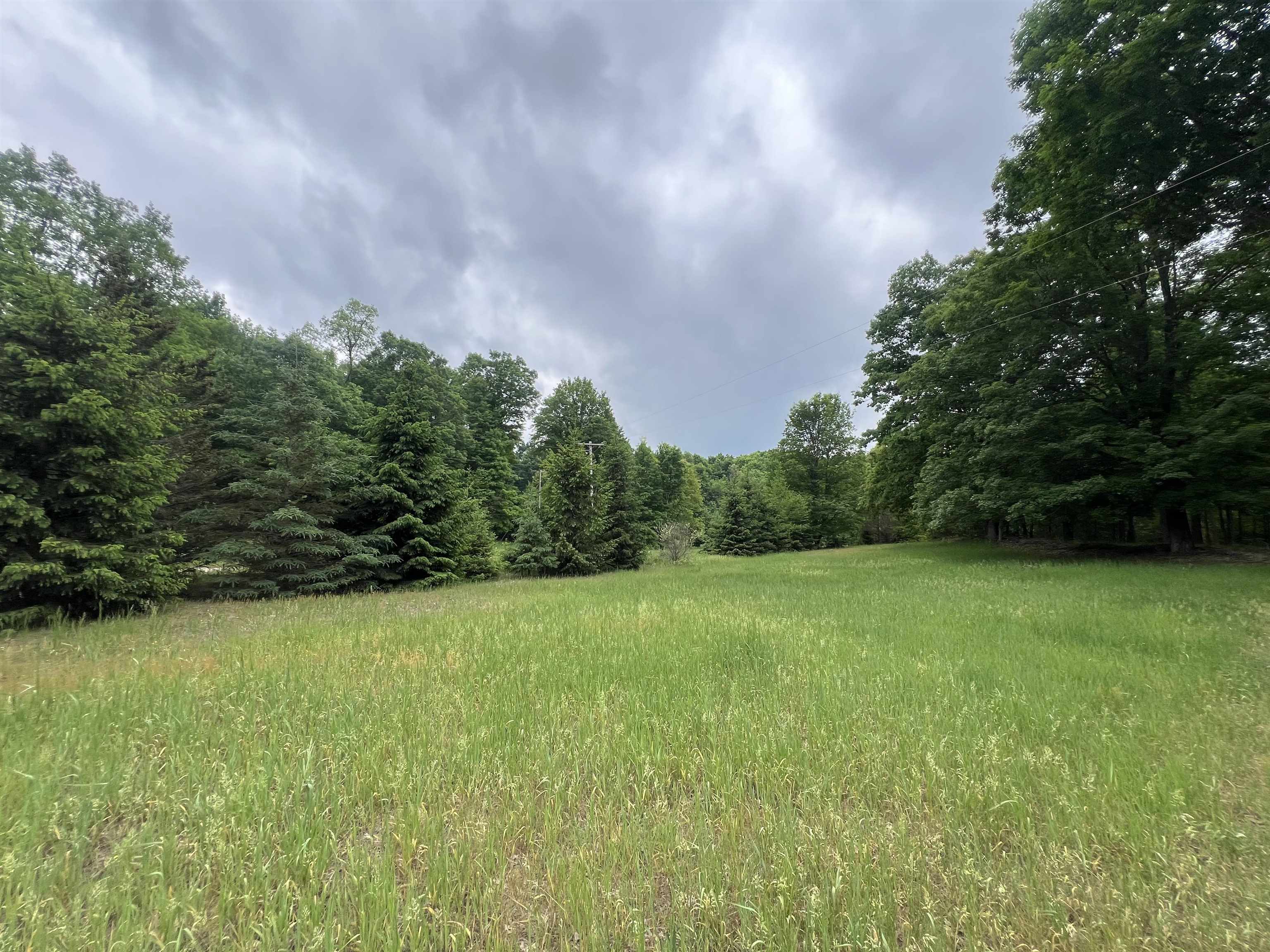 4169 North 25 Road Mesick, MI 49668 - Photo 8 of 10