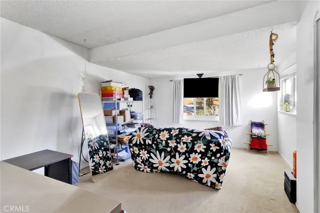 a bed room with a bed and a couch