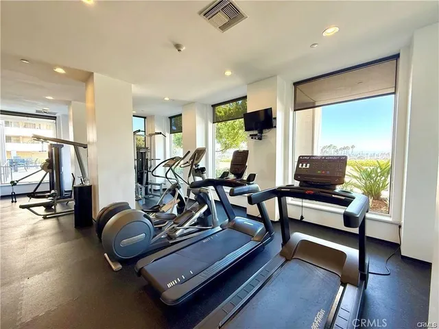 a view of a park with plants and a bench