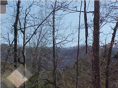 4167 Corinth Road LaFayette, GA 30728 - Photo 4 of 6 Additional Photo