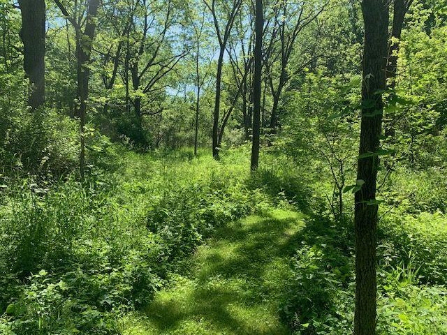 8161 Killarney Aire Road Roscoe, IL 61073 - Photo 49 of 53 a view of a lush green forest
