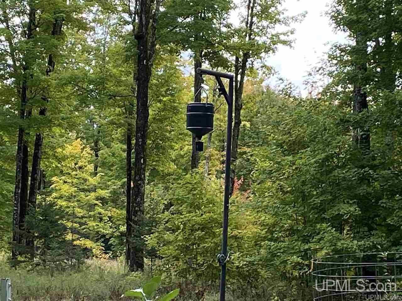 5998 East Maple Ridge 37th Road Rock, MI 49880 - Photo 46 of 50
