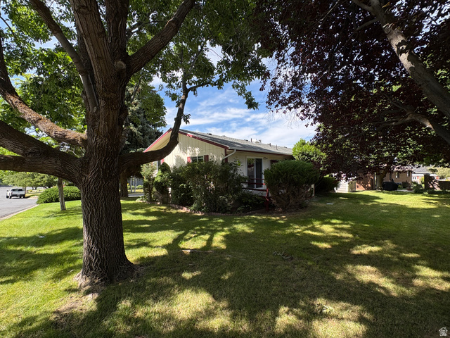 595 Meadowlark Road Orem, UT 84097 - Photo 72 of 87 Mature trees shading a verdant lawn, framing a single-story residence with light-colored siding and a red-trimmed roofline