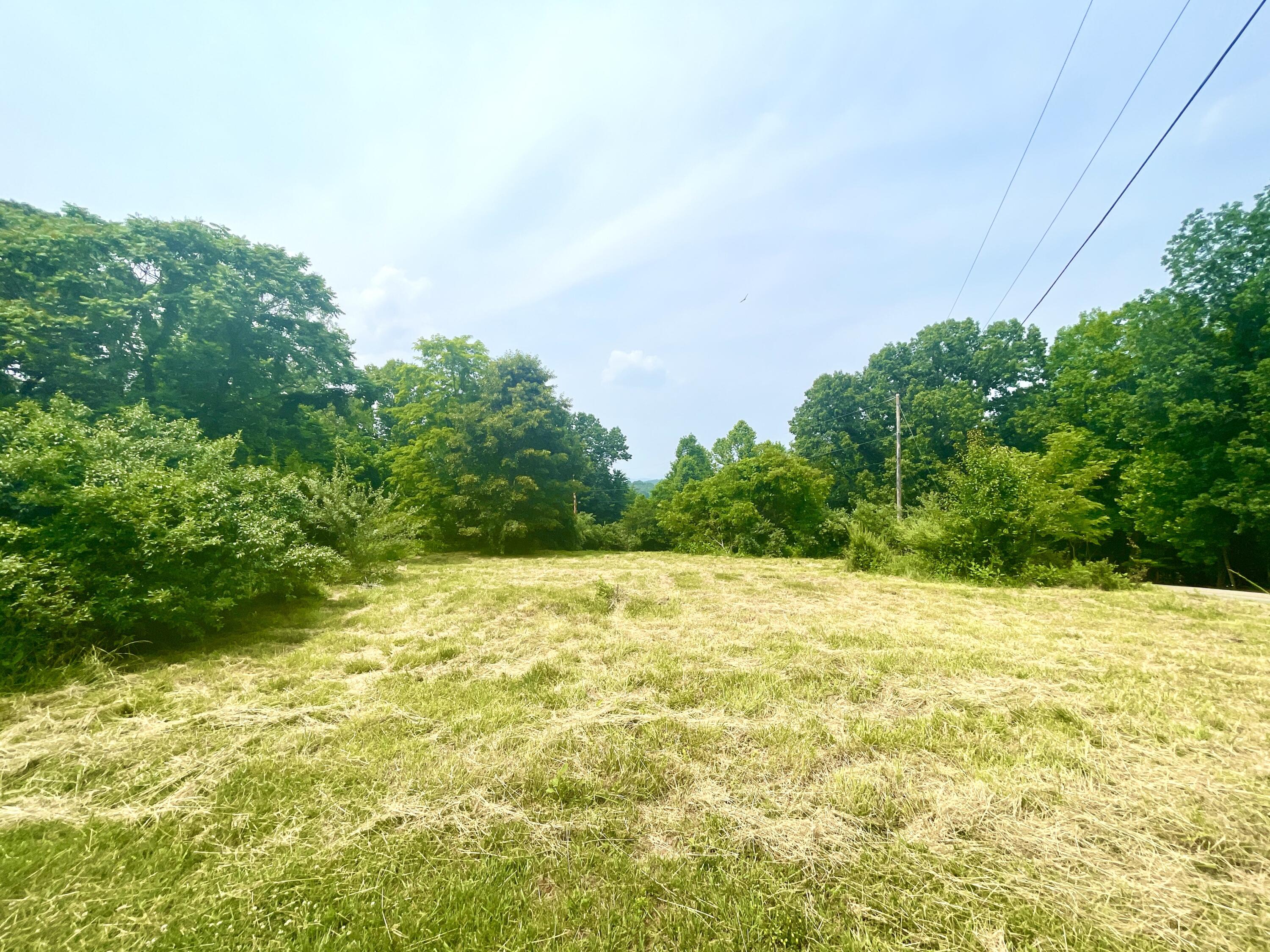 Lot 3 Morewood Road Hardy, VA 24101 - Photo 16 of 17 IMG_4512