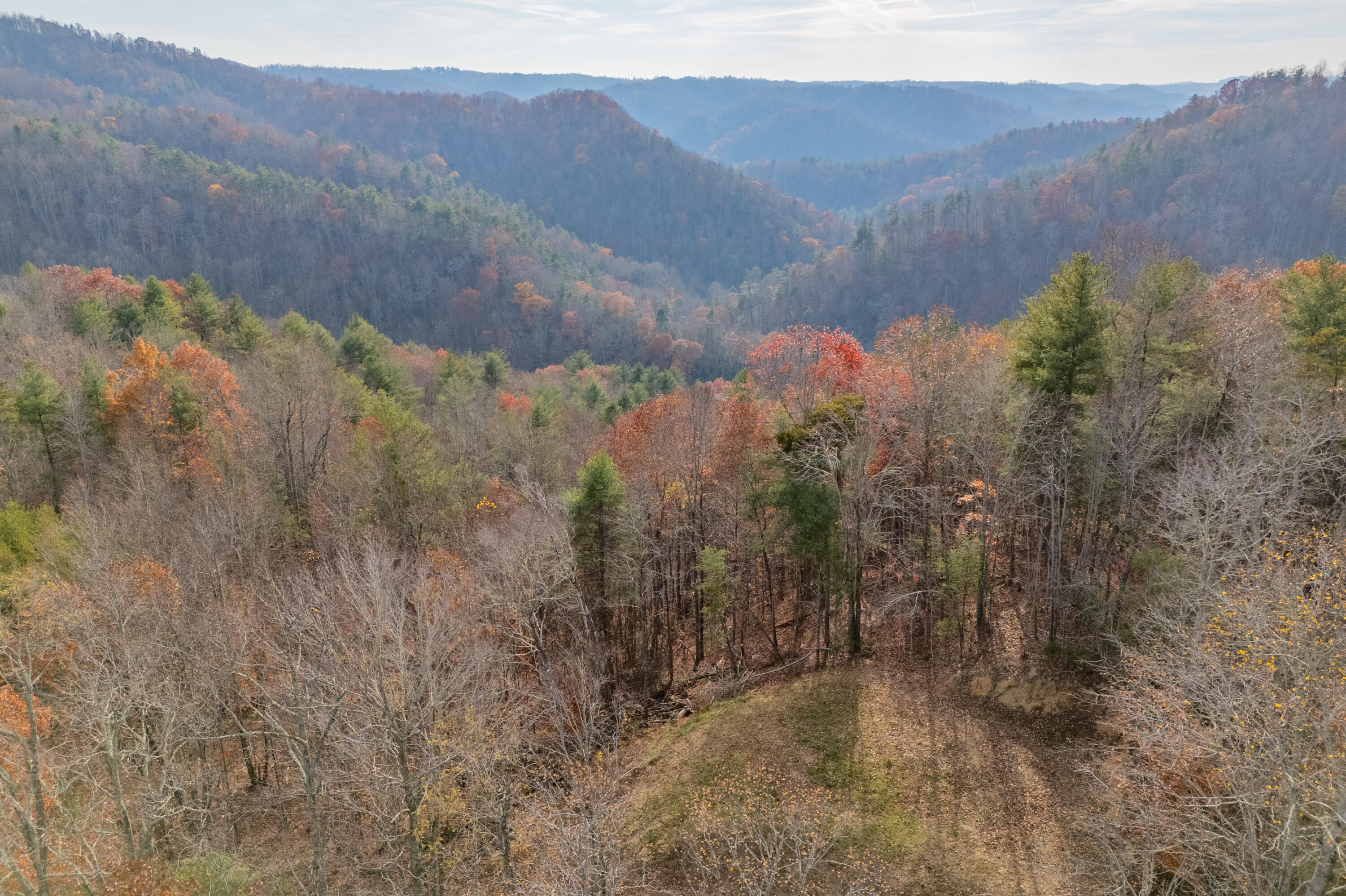 a view of a house with a mountain and a forest