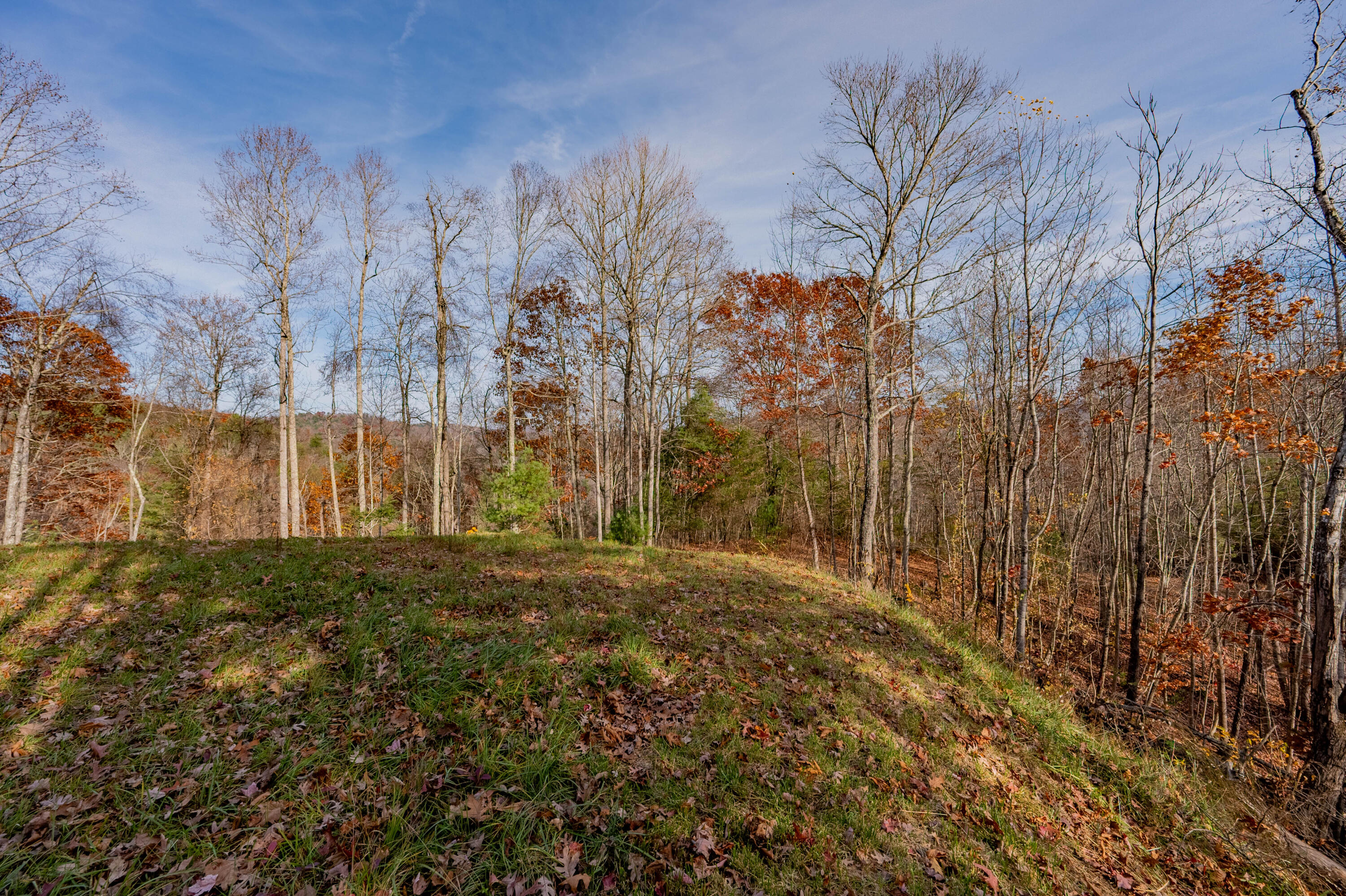 0 Tumbling Waters Road Northeast Copper Hill, VA 24079 - Photo 12 of 38 a view of back yard